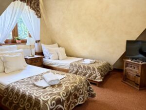 Twin room economy