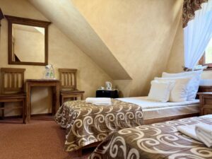 Twin room economy