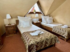 Twin room economy