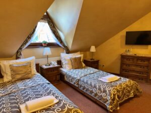 Twin room economy