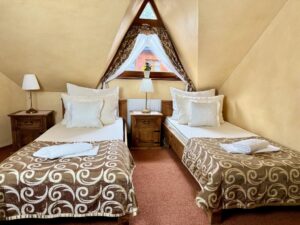 Twin room economy