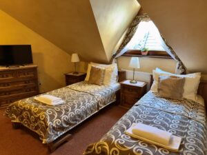 Twin room economy