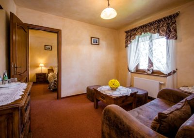 Pokój ze strefą relaksu i łóżkiem małżeńskim widok