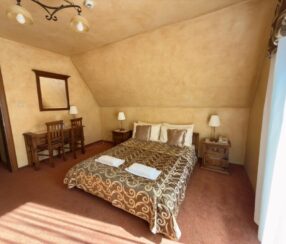 Pokój dwuosobowy sypialnia101